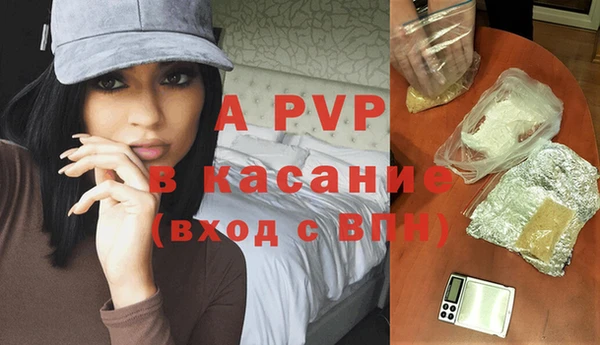 стаф Медвежьегорск