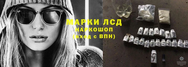 стаф Медвежьегорск