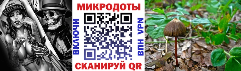 Галлюциногенные грибы мицелий  магазин продажи наркотиков  omg как зайти  Покачи 